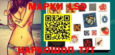 стаф Майкоп