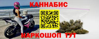 стаф Майкоп