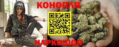 стаф Майкоп