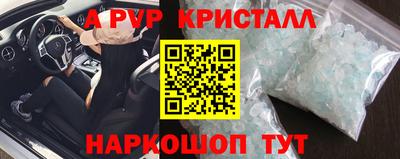 стаф Майкоп
