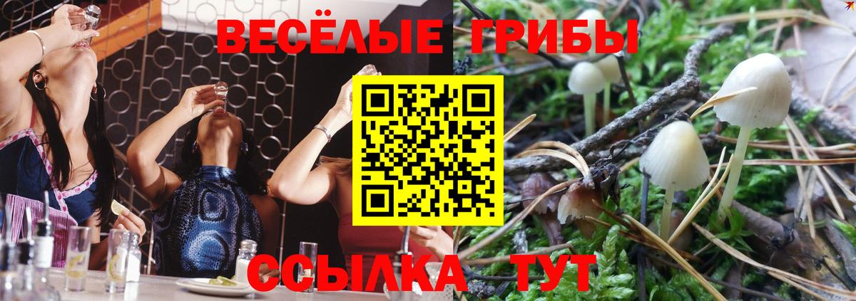 Галлюциногенные грибы мухоморы Кохма