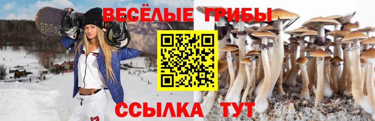 Псилоцибиновые грибы мицелий  Вход с VPN  Кохма 